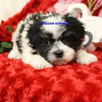 processed/2fba1e28-732e-4062-9c47-aa8a0c53c536/listing/0e6a6a7e-da53-4416-974f-c5ff75a7ae69/244e8be0-38ae-4966-bfee-d57ef3c94d9e