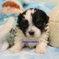 processed/2fba1e28-732e-4062-9c47-aa8a0c53c536/listing/0e6a6a7e-da53-4416-974f-c5ff75a7ae69/eb4935c5-7ac5-413d-b512-f439e9f7b544