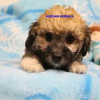 processed/2fba1e28-732e-4062-9c47-aa8a0c53c536/listing/36bcfb58-56ef-49f6-bc10-4e480068eb71/c36a848d-b472-485b-9497-be73860f3866