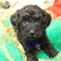 processed/2fba1e28-732e-4062-9c47-aa8a0c53c536/listing/3e034c57-2333-4211-a8ff-3bbe39a239ec/5ea9c54c-27e5-4d79-8fd6-6e1f397ea618