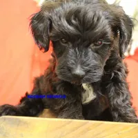 processed/2fba1e28-732e-4062-9c47-aa8a0c53c536/listing/3e034c57-2333-4211-a8ff-3bbe39a239ec/65d5b1c3-3ec8-498d-bdc0-8e2b1208df67