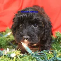 processed/2fba1e28-732e-4062-9c47-aa8a0c53c536/listing/3e034c57-2333-4211-a8ff-3bbe39a239ec/83590503-13d3-4a56-9d1d-27fe3ab5dc8b