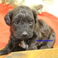 processed/2fba1e28-732e-4062-9c47-aa8a0c53c536/listing/3e034c57-2333-4211-a8ff-3bbe39a239ec/c927aa34-5d95-47ae-947f-91346b738192