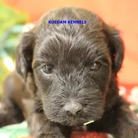 processed/2fba1e28-732e-4062-9c47-aa8a0c53c536/listing/3e034c57-2333-4211-a8ff-3bbe39a239ec/db6af9f1-4f58-449d-8879-9fadf6647580