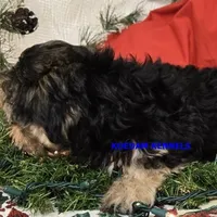 processed/2fba1e28-732e-4062-9c47-aa8a0c53c536/listing/439b5390-d8d8-4875-b39b-4fef3da099a5/1c021afe-cc9c-40a8-af72-84ab50e39038