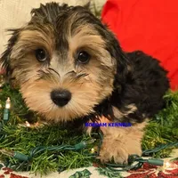 processed/2fba1e28-732e-4062-9c47-aa8a0c53c536/listing/439b5390-d8d8-4875-b39b-4fef3da099a5/60459b36-5e0c-4653-aaf2-54c23f2ce4b9