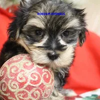 processed/2fba1e28-732e-4062-9c47-aa8a0c53c536/listing/43bafe34-51f1-4ed9-9e14-8572c8390fe7/2703235a-0630-46fa-bb25-7f19fcad96dd