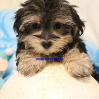 processed/2fba1e28-732e-4062-9c47-aa8a0c53c536/listing/43bafe34-51f1-4ed9-9e14-8572c8390fe7/43cc7e20-777e-44ea-ad10-8fc245a6a4a7