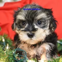 processed/2fba1e28-732e-4062-9c47-aa8a0c53c536/listing/43bafe34-51f1-4ed9-9e14-8572c8390fe7/4ce1ccf2-a7c6-4a93-aba7-93089c5421ca