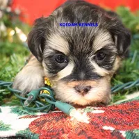 processed/2fba1e28-732e-4062-9c47-aa8a0c53c536/listing/43bafe34-51f1-4ed9-9e14-8572c8390fe7/adfd6627-8d98-45c8-b543-0a686042dc99