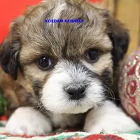 processed/2fba1e28-732e-4062-9c47-aa8a0c53c536/listing/5c193047-07e5-492b-88ee-486fb1ef1df0/58472c89-7839-4d47-8df2-a44b6d836ea1