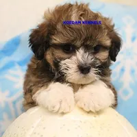 processed/2fba1e28-732e-4062-9c47-aa8a0c53c536/listing/5c193047-07e5-492b-88ee-486fb1ef1df0/ce0e5f52-8860-4618-bcc9-c1b6bdd66355