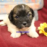 processed/2fba1e28-732e-4062-9c47-aa8a0c53c536/listing/5d04a4e3-9cd8-4c4a-8a5c-34a90a5a1184/0b4510cb-df07-427a-a237-5ab721931574