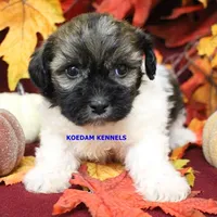 processed/2fba1e28-732e-4062-9c47-aa8a0c53c536/listing/5d04a4e3-9cd8-4c4a-8a5c-34a90a5a1184/419f4c23-482e-465f-bd08-b566fd701381