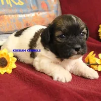 processed/2fba1e28-732e-4062-9c47-aa8a0c53c536/listing/5d04a4e3-9cd8-4c4a-8a5c-34a90a5a1184/5e30ed9c-b86b-428e-9fc2-8d9629c34066