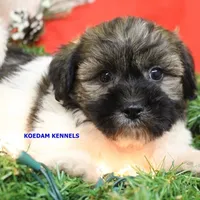 processed/2fba1e28-732e-4062-9c47-aa8a0c53c536/listing/5d04a4e3-9cd8-4c4a-8a5c-34a90a5a1184/ba71ba1d-8666-43e6-9e12-1864b3e8959a