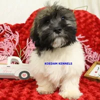 processed/2fba1e28-732e-4062-9c47-aa8a0c53c536/listing/5d04a4e3-9cd8-4c4a-8a5c-34a90a5a1184/f66d41c9-f7b6-4013-a8a8-8552d7a3abda