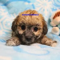 processed/2fba1e28-732e-4062-9c47-aa8a0c53c536/listing/61c85cb0-4c2a-43c3-993a-b0771cb9dcbc/1da11607-61f0-46b9-a67c-9b35cab570c5