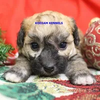 processed/2fba1e28-732e-4062-9c47-aa8a0c53c536/listing/61c85cb0-4c2a-43c3-993a-b0771cb9dcbc/40ff3a33-24fd-4fe2-bf40-ba8a27029c1e