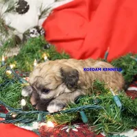 processed/2fba1e28-732e-4062-9c47-aa8a0c53c536/listing/61c85cb0-4c2a-43c3-993a-b0771cb9dcbc/545685e8-b6b9-4d97-9933-b0866ebf6e8d