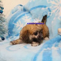 processed/2fba1e28-732e-4062-9c47-aa8a0c53c536/listing/61c85cb0-4c2a-43c3-993a-b0771cb9dcbc/dca74f6f-90c8-43b0-9458-0d3491a756d6