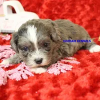 processed/2fba1e28-732e-4062-9c47-aa8a0c53c536/listing/648cb462-e2bc-4fe6-8bdb-1de2fb7dd591/4775b39b-f645-4da4-a1f0-42fd817db4fd