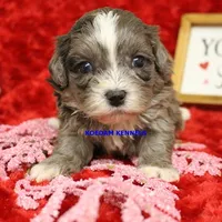 processed/2fba1e28-732e-4062-9c47-aa8a0c53c536/listing/648cb462-e2bc-4fe6-8bdb-1de2fb7dd591/c3143675-240c-4760-8ec4-39c6b559948a