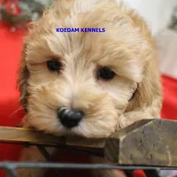 processed/2fba1e28-732e-4062-9c47-aa8a0c53c536/listing/70a2e178-55ca-4a82-9c23-d57883a14097/0050d1a3-f14c-46b0-8d65-15470be1efb2