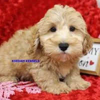 processed/2fba1e28-732e-4062-9c47-aa8a0c53c536/listing/70a2e178-55ca-4a82-9c23-d57883a14097/26d27ded-9797-40ee-a1ab-09bdc8a4b5fb