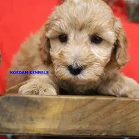 processed/2fba1e28-732e-4062-9c47-aa8a0c53c536/listing/70a2e178-55ca-4a82-9c23-d57883a14097/40324085-8f40-49b4-8822-d4bac40fa187