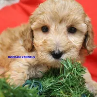 processed/2fba1e28-732e-4062-9c47-aa8a0c53c536/listing/70a2e178-55ca-4a82-9c23-d57883a14097/c06d5246-b37d-4fe8-b4cc-a6d4651b416e