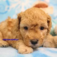 processed/2fba1e28-732e-4062-9c47-aa8a0c53c536/listing/8966a80a-23a4-4b9e-b366-309cb561a441/34fc1605-7c9b-47b9-8ca6-961bc582b81d