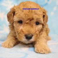 processed/2fba1e28-732e-4062-9c47-aa8a0c53c536/listing/8966a80a-23a4-4b9e-b366-309cb561a441/b935726e-9ac5-43f2-9207-86cbc6601699