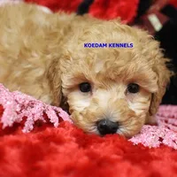 processed/2fba1e28-732e-4062-9c47-aa8a0c53c536/listing/8966a80a-23a4-4b9e-b366-309cb561a441/ea53e73e-b730-441c-a6ad-241be36609a7