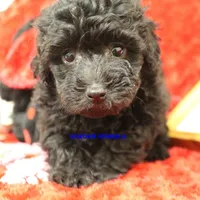 processed/2fba1e28-732e-4062-9c47-aa8a0c53c536/listing/913122b7-eb64-4eb7-beab-054cbc3f35e7/20529357-2d0a-4e59-bb7a-e2162ac6f68f