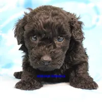 processed/2fba1e28-732e-4062-9c47-aa8a0c53c536/listing/913122b7-eb64-4eb7-beab-054cbc3f35e7/a58c7087-a4e5-4fc1-af4e-08d185eb0ec8