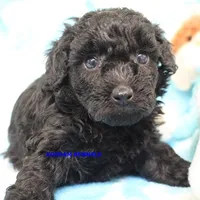 processed/2fba1e28-732e-4062-9c47-aa8a0c53c536/listing/913122b7-eb64-4eb7-beab-054cbc3f35e7/bdbf185a-3f04-4a96-9d8c-3618cb481d0a