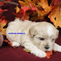 processed/2fba1e28-732e-4062-9c47-aa8a0c53c536/listing/b8bfc8d4-7c92-4344-a746-738c313aae49/ab42b10e-6ffc-4cab-92f4-dae11470492c