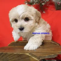 processed/2fba1e28-732e-4062-9c47-aa8a0c53c536/listing/b8bfc8d4-7c92-4344-a746-738c313aae49/b1654e2c-7b7b-474a-8a5e-0e366f606809