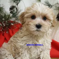 processed/2fba1e28-732e-4062-9c47-aa8a0c53c536/listing/b8bfc8d4-7c92-4344-a746-738c313aae49/f6e159f4-03c8-41c4-88c7-b3985ee56638