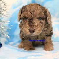 processed/2fba1e28-732e-4062-9c47-aa8a0c53c536/listing/bc2c3368-71d8-4830-93ac-cb180b63a3da/396fec68-fbdc-4fad-9d08-3d76d54992b0