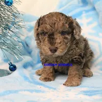 processed/2fba1e28-732e-4062-9c47-aa8a0c53c536/listing/bc2c3368-71d8-4830-93ac-cb180b63a3da/9ebc9d20-e7e3-4ce4-9783-295556c26b50