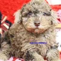 processed/2fba1e28-732e-4062-9c47-aa8a0c53c536/listing/bc2c3368-71d8-4830-93ac-cb180b63a3da/ebc5f6c2-cc01-4377-8365-80d61038defd