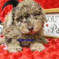 processed/2fba1e28-732e-4062-9c47-aa8a0c53c536/listing/bc2c3368-71d8-4830-93ac-cb180b63a3da/fbdcae17-311c-41c4-b066-358808e44ae2