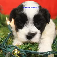 processed/2fba1e28-732e-4062-9c47-aa8a0c53c536/listing/c27f05d1-ca04-4878-b868-387f62361387/12d7e880-0174-4d32-9800-e53552ed872b