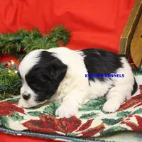 processed/2fba1e28-732e-4062-9c47-aa8a0c53c536/listing/c27f05d1-ca04-4878-b868-387f62361387/22bc8501-dc62-4a55-80fd-9f3c16e3c9fd