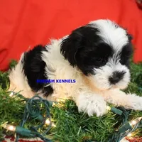 processed/2fba1e28-732e-4062-9c47-aa8a0c53c536/listing/c27f05d1-ca04-4878-b868-387f62361387/76402da0-3473-4f44-ac76-f6643bc2bee4