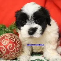 processed/2fba1e28-732e-4062-9c47-aa8a0c53c536/listing/c27f05d1-ca04-4878-b868-387f62361387/8295e2ff-d07e-4c5c-b6c2-6af216933253