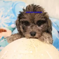 processed/2fba1e28-732e-4062-9c47-aa8a0c53c536/listing/c9983b28-8a26-4582-870f-dbf2db113d62/4538897a-8ddd-47c7-8e52-27ce8262470c