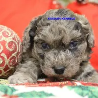 processed/2fba1e28-732e-4062-9c47-aa8a0c53c536/listing/c9983b28-8a26-4582-870f-dbf2db113d62/98c3a89c-88af-4a99-8a5e-72895b5baaff